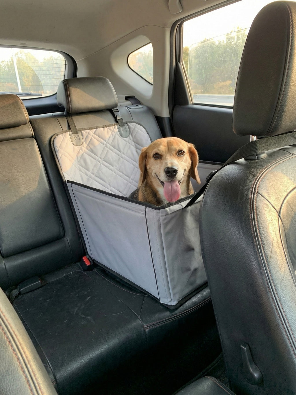 Happy beagle sitting in CuddleCruiser dog car seat