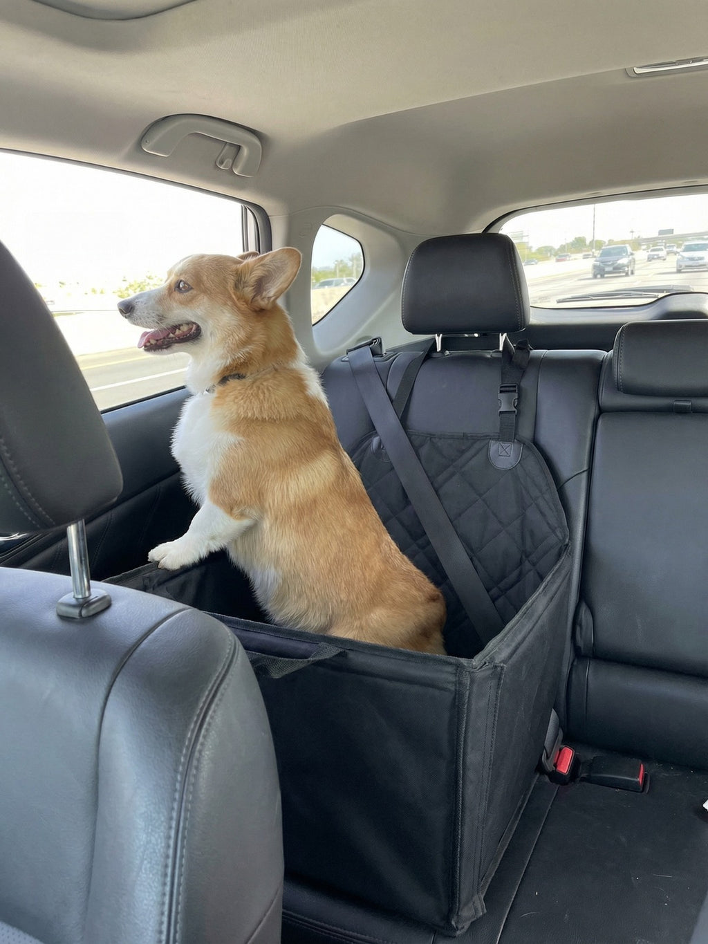 Corgi riding in CuddleCruiser dog car seat on highway